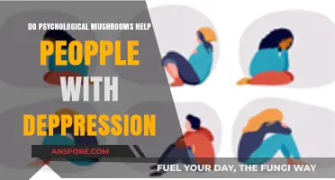 Mushrooms and Depression: A Natural Remedy?
