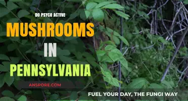 Magic Mushrooms: Pennsylvania's Psychoactive Fungi