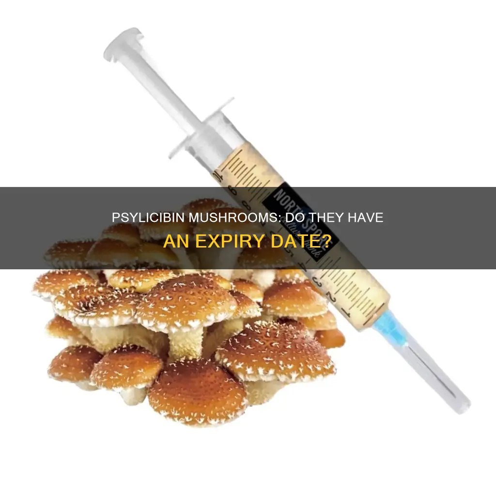 do psylicibin mushrooms expire