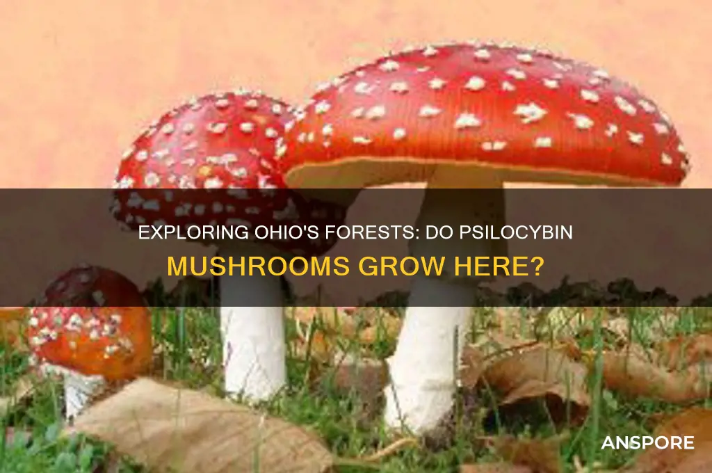 do psylocibin mushrooms grow in ohio