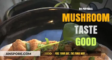 Exploring Puffball Mushrooms: Are They a Tasty Culinary Delight?