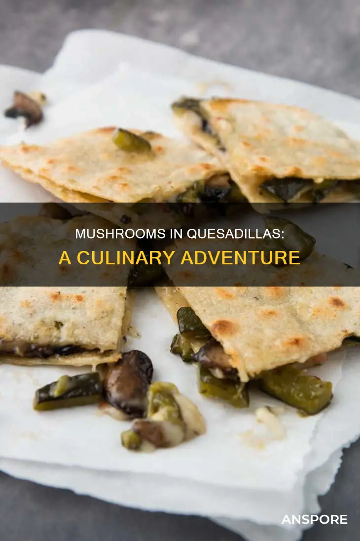 do quesodillas have mushrooms