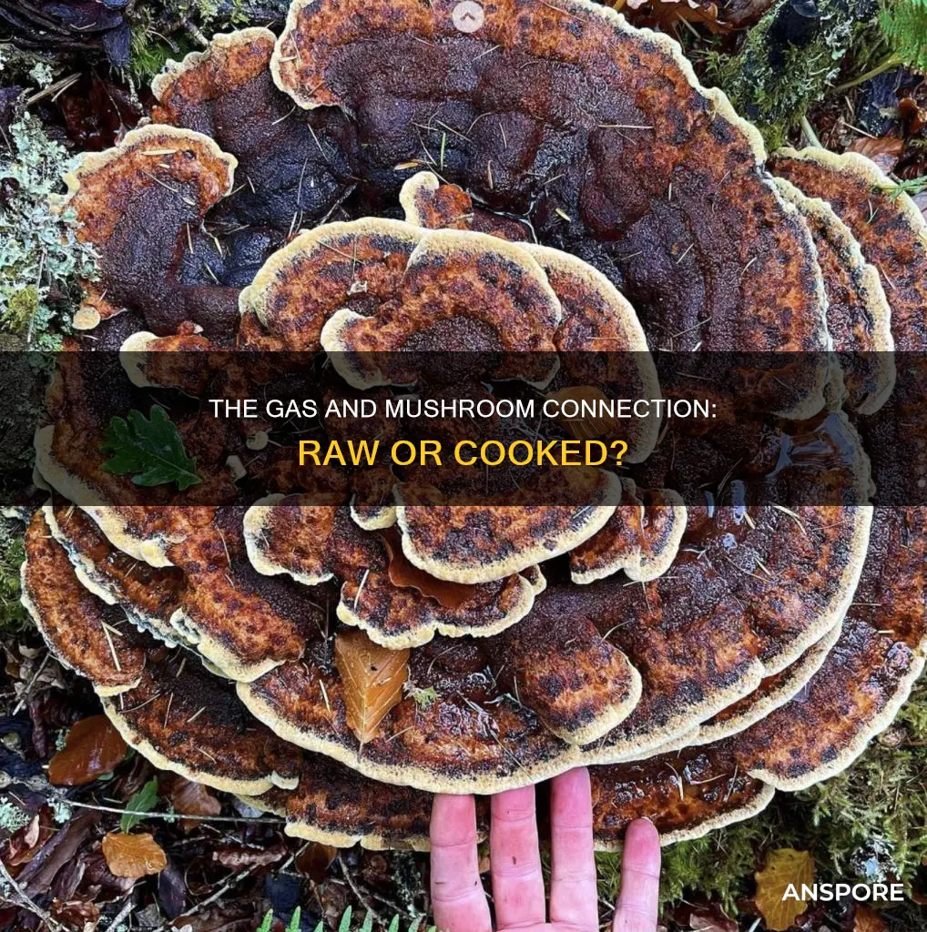 do raw mushrooms cause gas