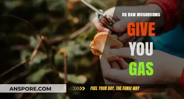 The Gas-Producing Culprit: Raw Mushrooms and Their Effects