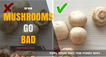 Do Raw Mushrooms Go Bad? Shelf Life and Storage Tips