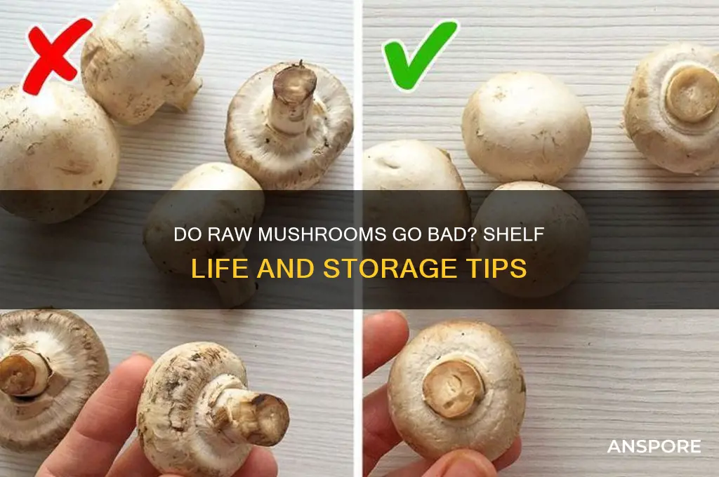 do raw mushrooms go bad