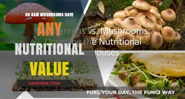 Mushroom Power: Raw Nutrition Explored