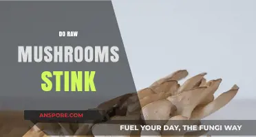 Why Do Raw Mushrooms Stink?