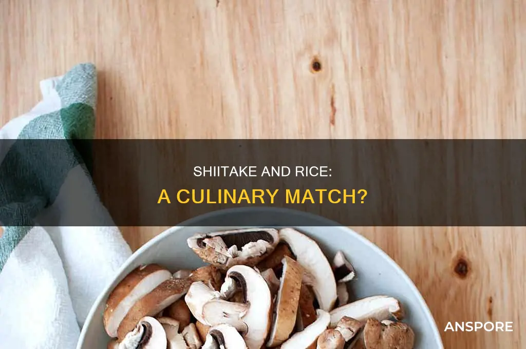 do raw shiitake mushroom go well with white rice