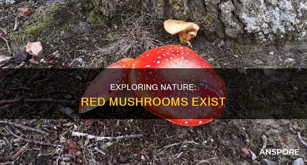 do red mushrooms exist
