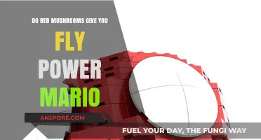 Mushroom Magic: Red Shrooms Make Mario Fly