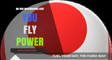 Magic Mushrooms: Can Red Mushrooms Make You Fly?