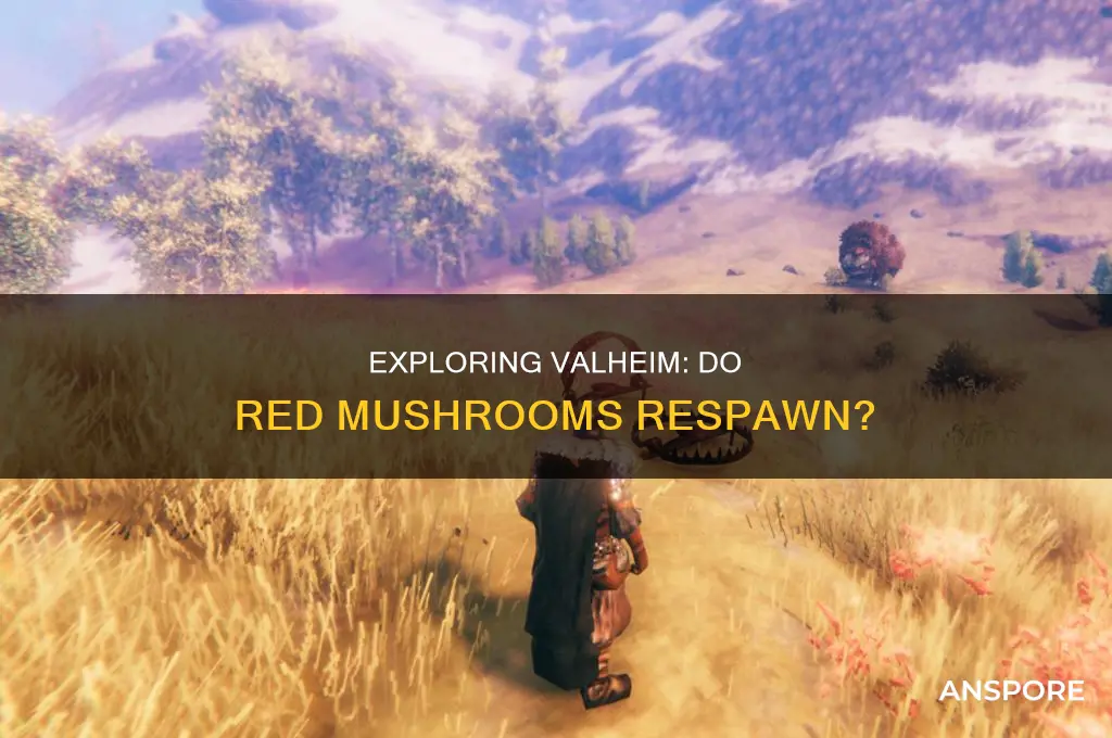 do red mushrooms respawn in valheim