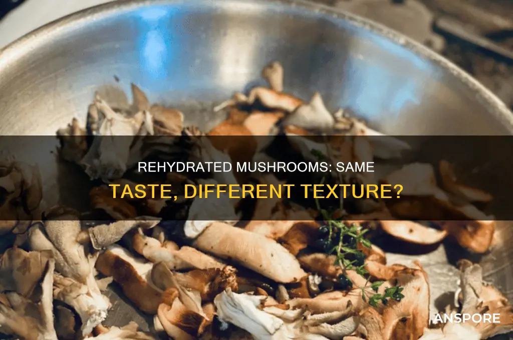 do rehydrated mushrooms taste the same