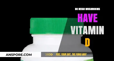 Reishi Mushrooms: A Rich Source of Vitamin D?