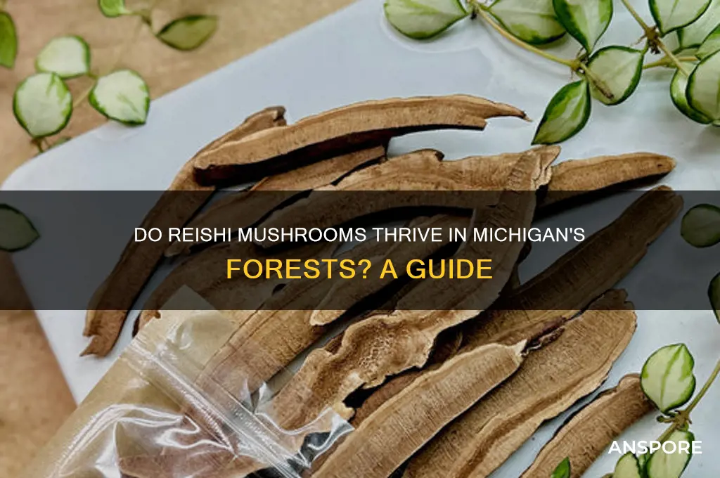 do reishi mushrooms grow in michigan