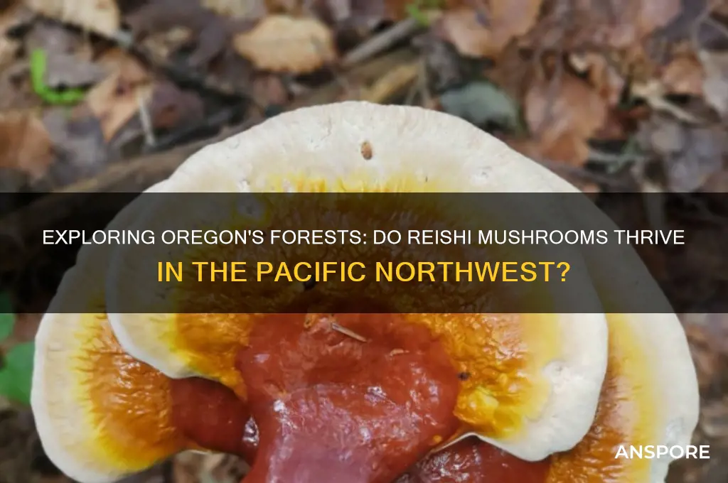 do reishi mushrooms grow in oregon