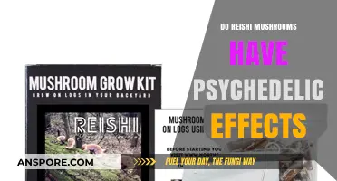 Reishi Mushrooms: Psychedelic or Placebo?