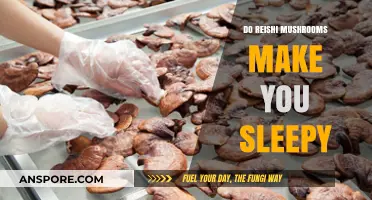 Reishi Mushrooms and Sleep: Do They Induce Drowsiness?