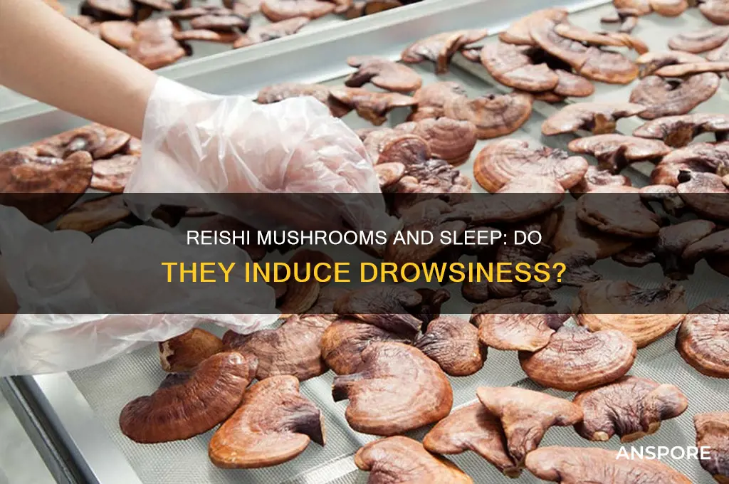 do reishi mushrooms make you sleepy
