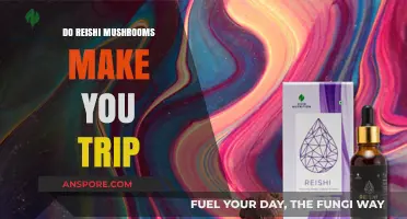 Do Reishi Mushrooms Cause Psychedelic Trips? Separating Fact from Fiction