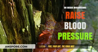 Reishi Mushrooms: Blood Pressure Control and Management