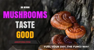 Do Reishi Mushrooms Taste Good? Exploring Their Flavor Profile