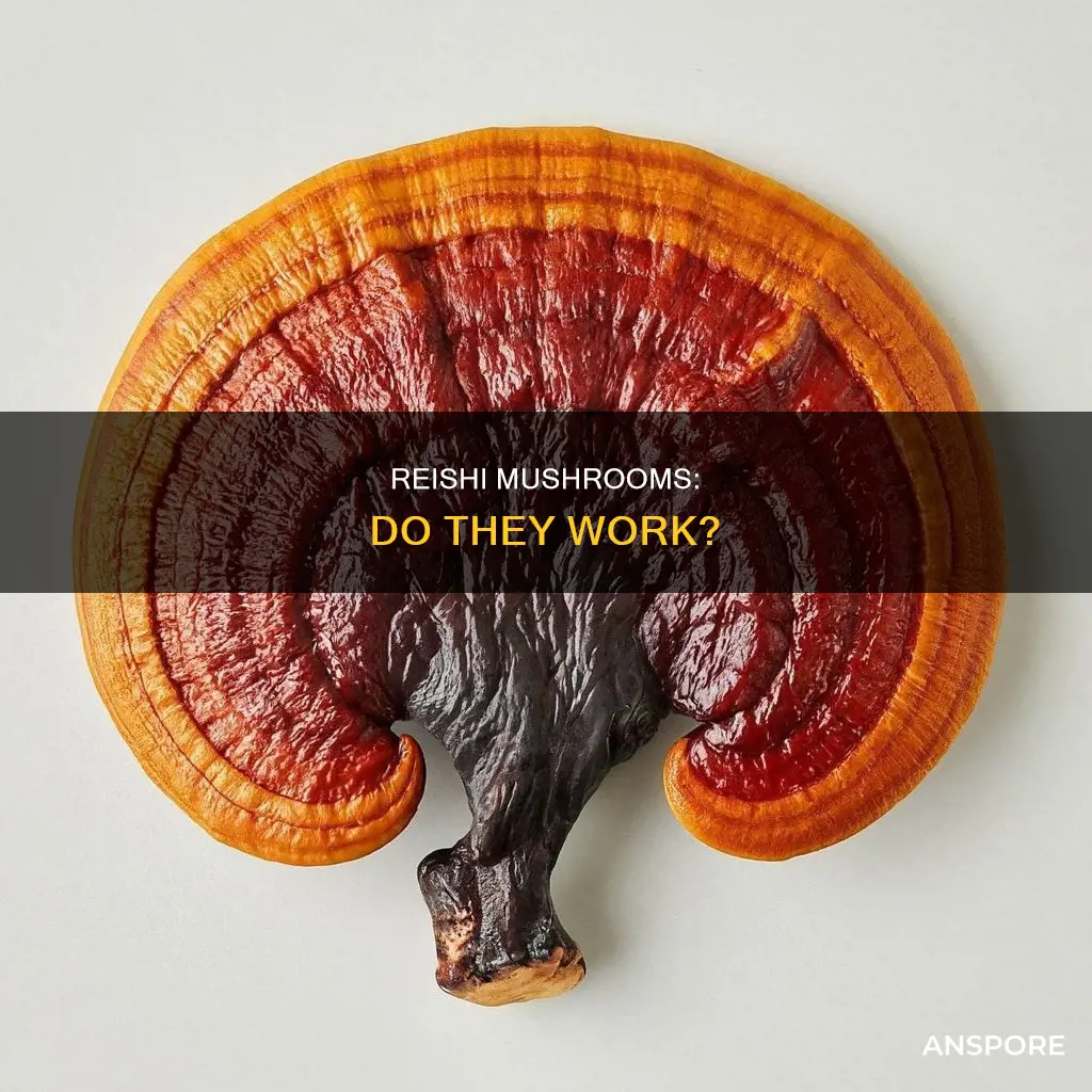 do reishi mushrooms work