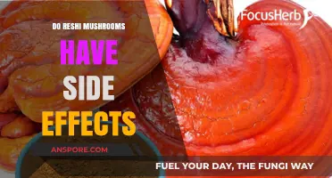 Reshi Mushroom Side Effects: What You Need to Know
