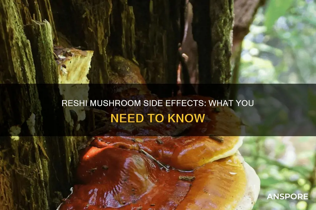 do reshi mushrooms have side effects