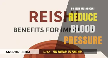 Resie Mushrooms: A Natural Remedy for High Blood Pressure?