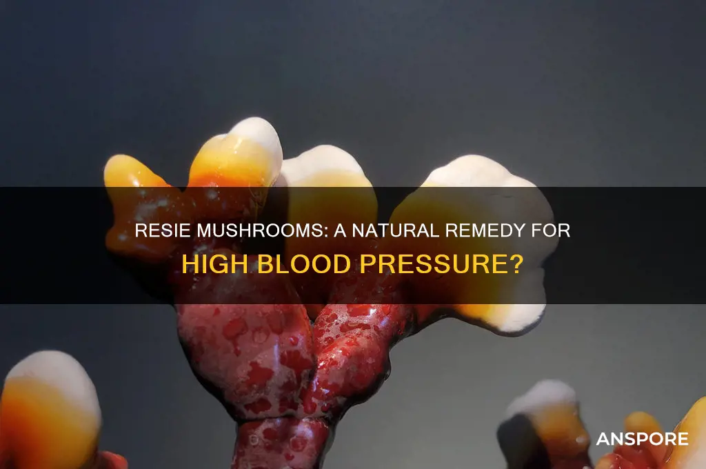 do resie mushrooms reduce blood pressure