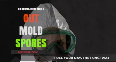 Do Respirators Effectively Filter Out Mold Spores? A Comprehensive Guide