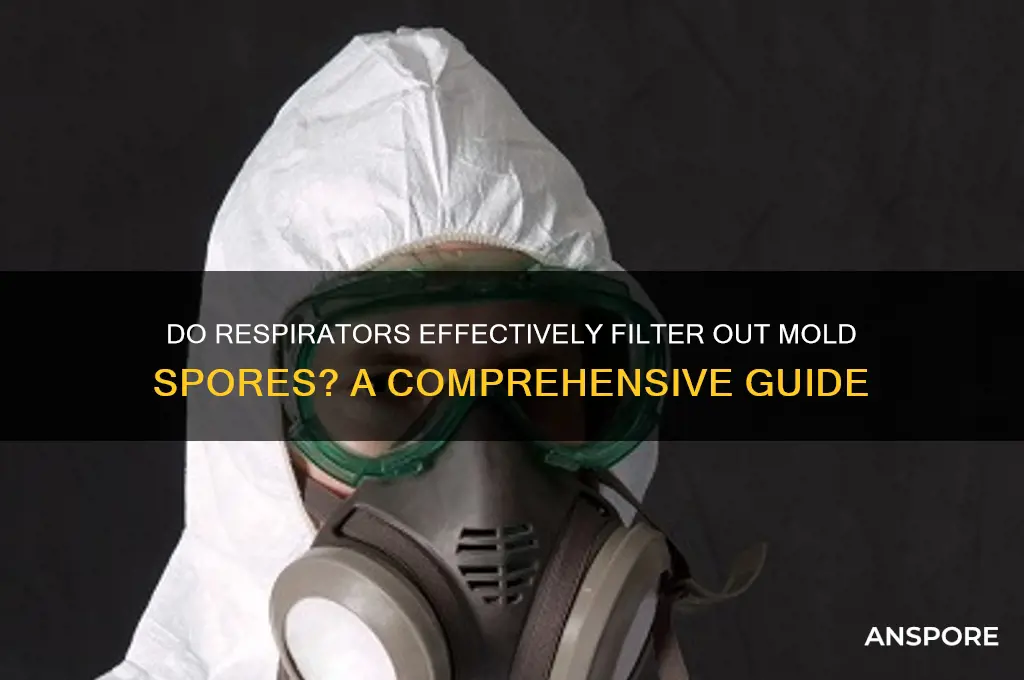 do respirators filter out mold spores