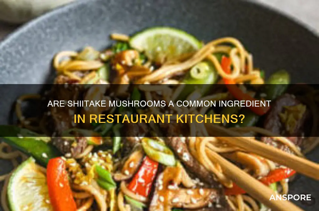 do restaurants frequently use shiitake mushrooms