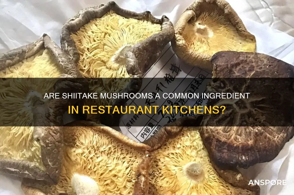 do restaurants frequently use shitake mushrooms