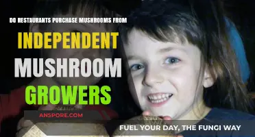 Mushroom Growers: Where Do Restaurants Source Their Fungi?