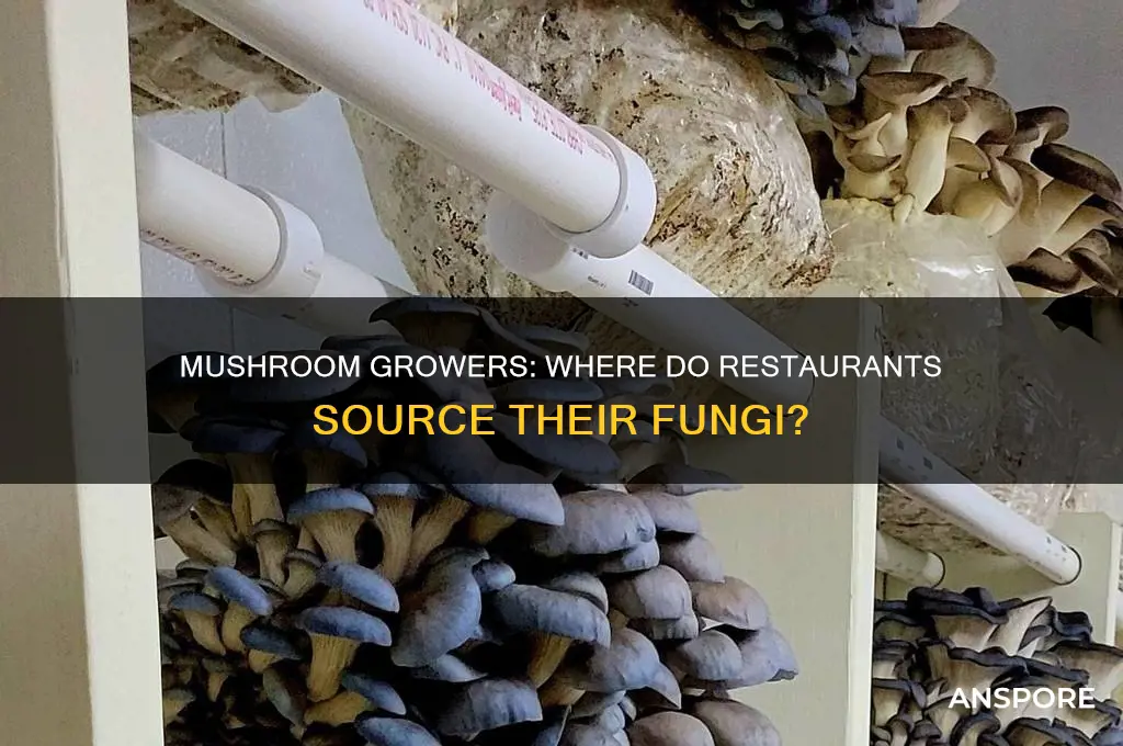 do restaurants purchase mushrooms from independent mushroom growers