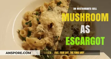 The Snail Mail: Escargot's Mushroom Mystery