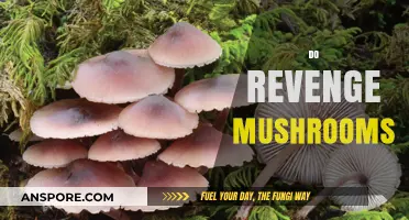 Magic Mushrooms: The Ultimate Revenge?