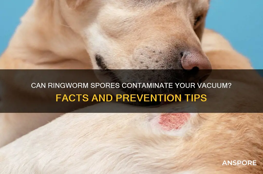 do ringworm spores contaminate vacuum