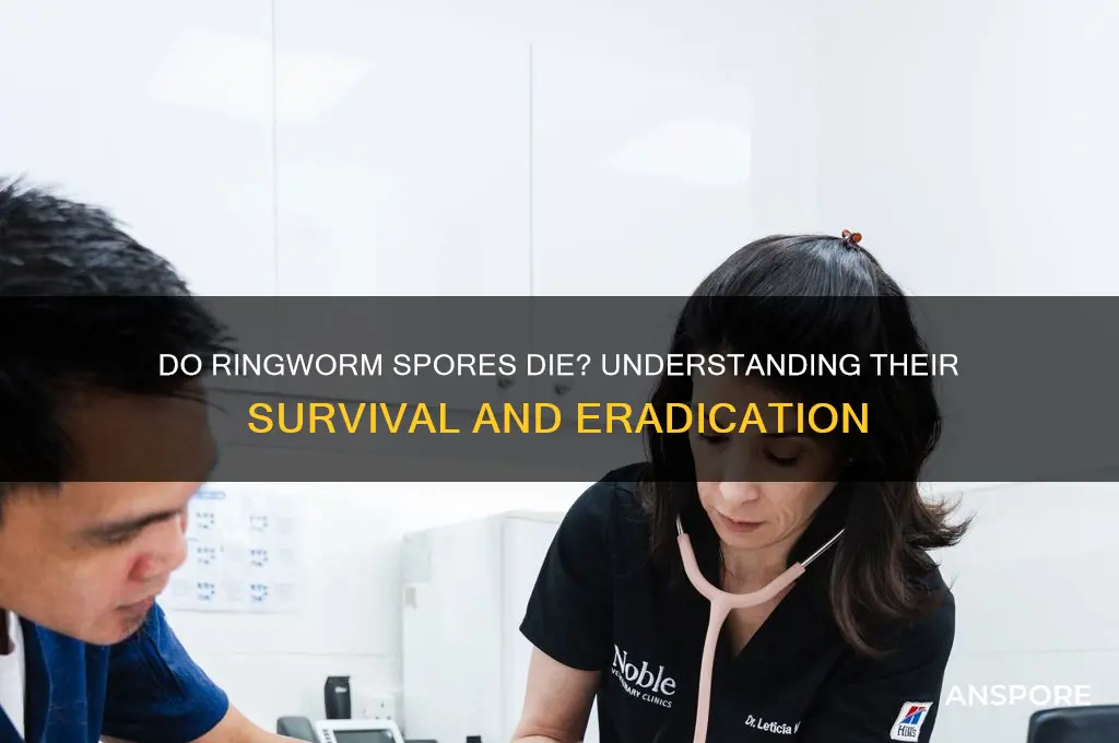 do ringworm spores die