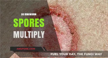 Ringworm Spores: How They Spread and Multiply on Skin and Surfaces