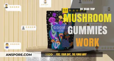 Do Road Trip Mushroom Gummies Work? A Comprehensive Review