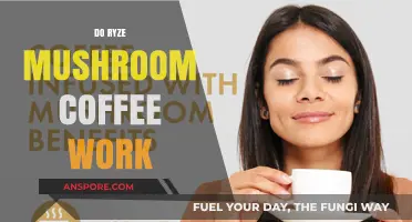 Does Ryze Mushroom Coffee Really Work?