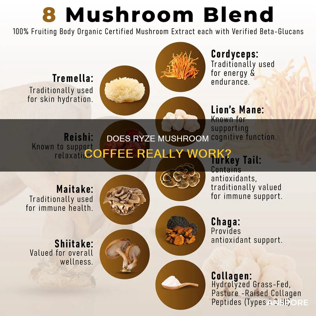 do ryze mushroom coffee work
