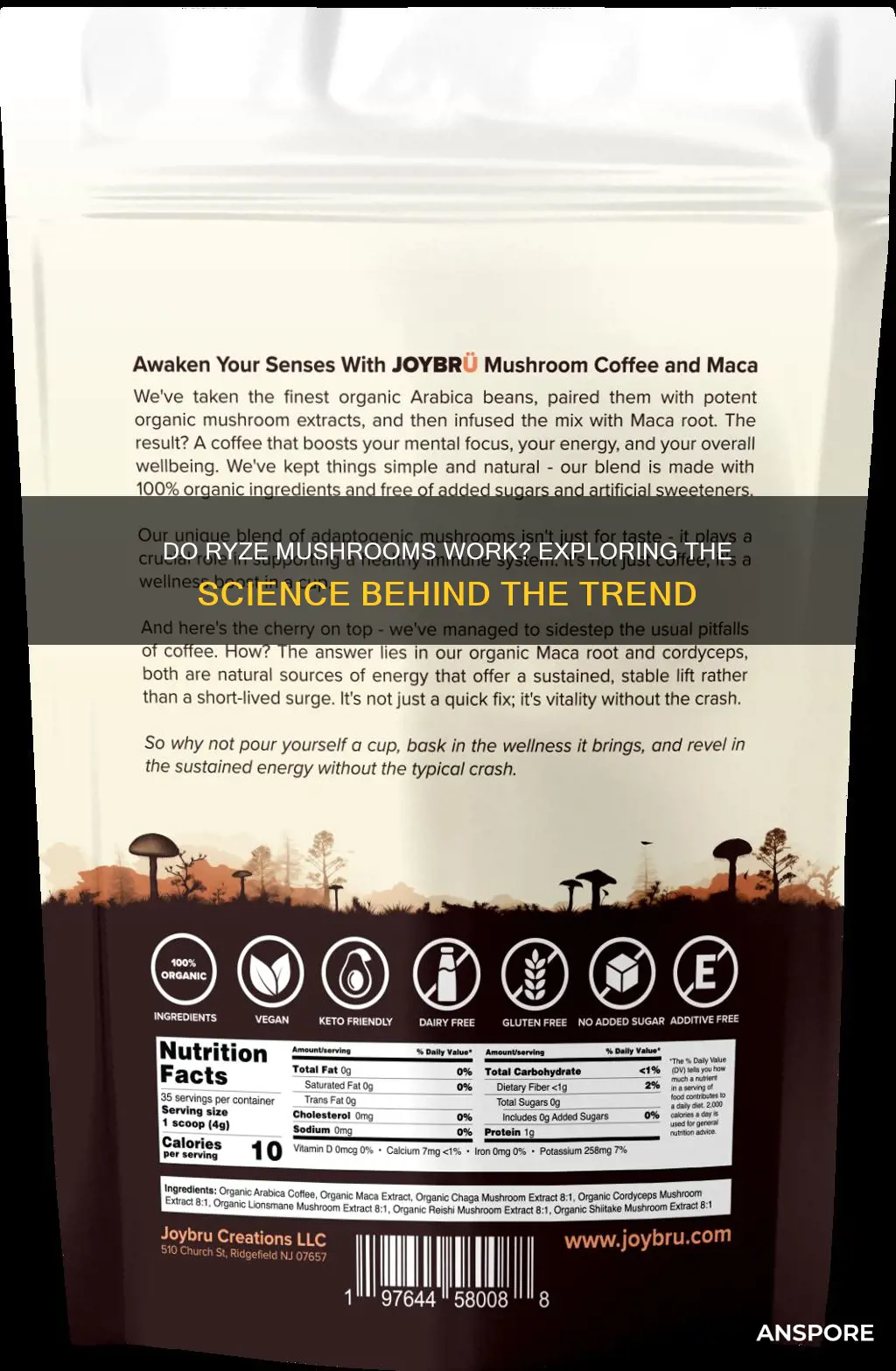 do ryze mushrooms work