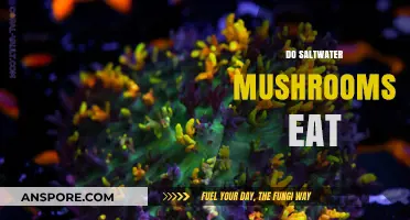 Do Saltwater Mushrooms Eat? Unveiling Marine Fungi's Unique Survival Secrets