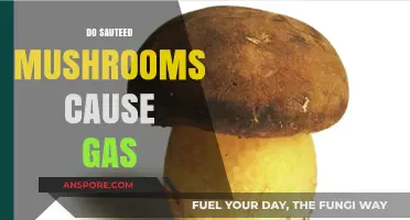 Sauteed Mushrooms and Gas: What's the Link?