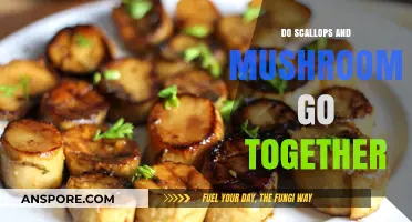 Combining Scallops and Mushrooms: A Culinary Adventure